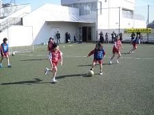 1803035.jpg