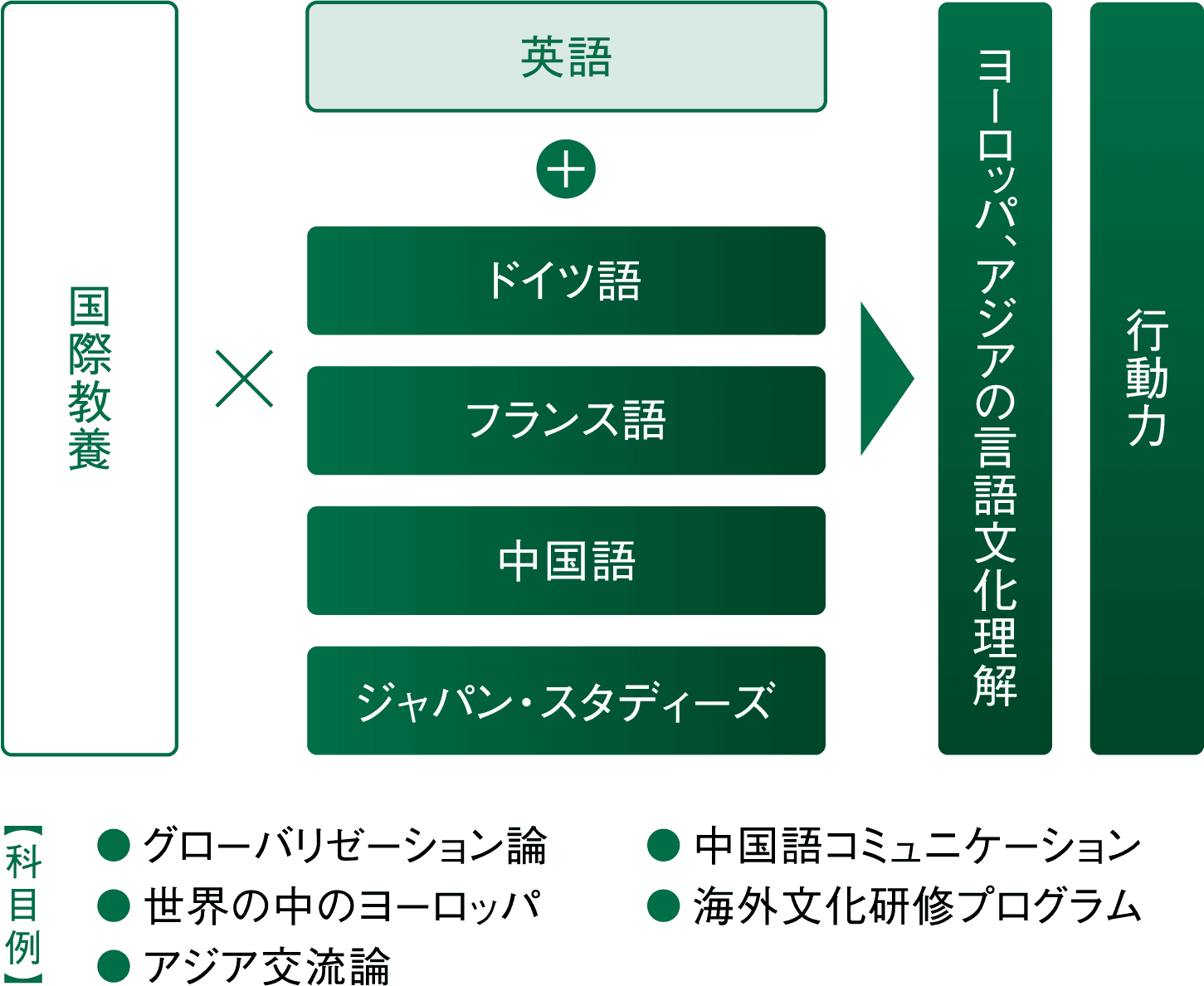 国際日本コースのイメージ