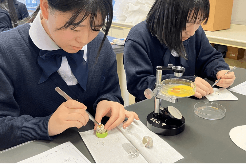 理科の授業の様子