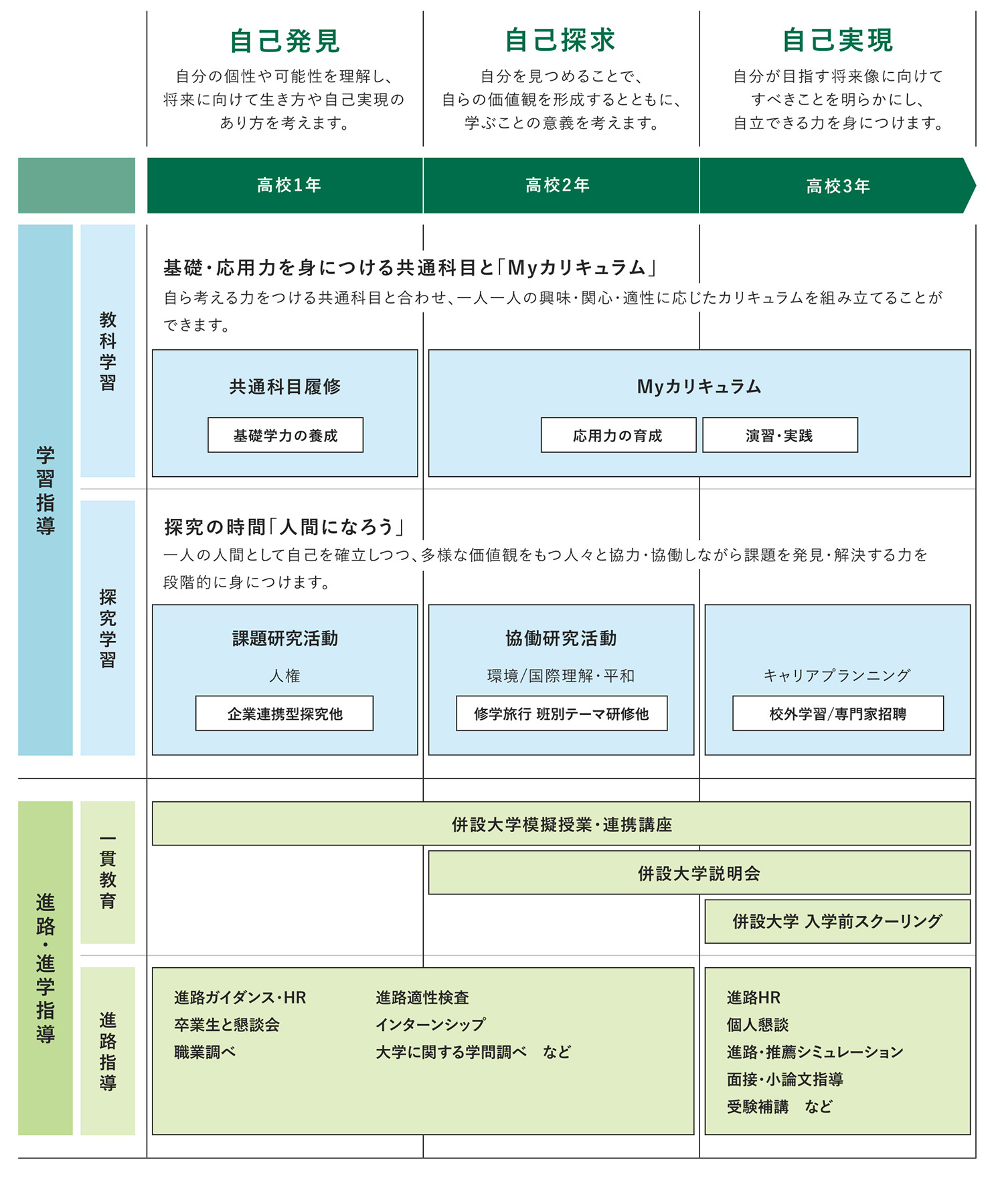 カリキュラム図版