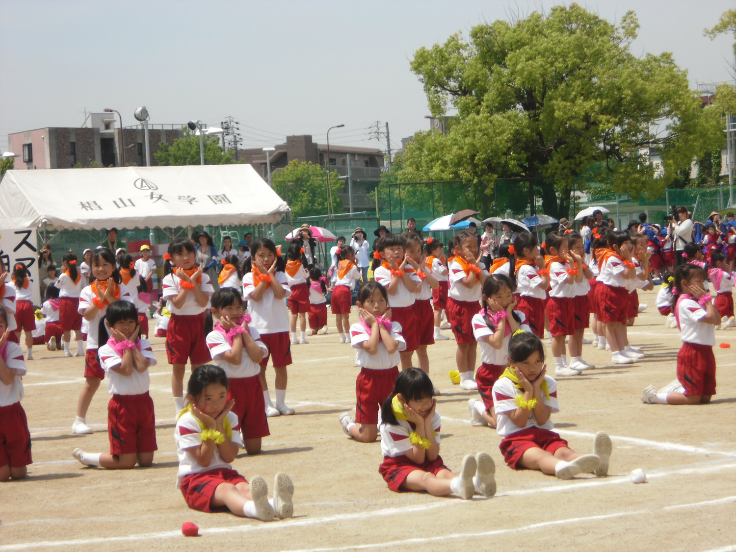 CIMG4929.JPG