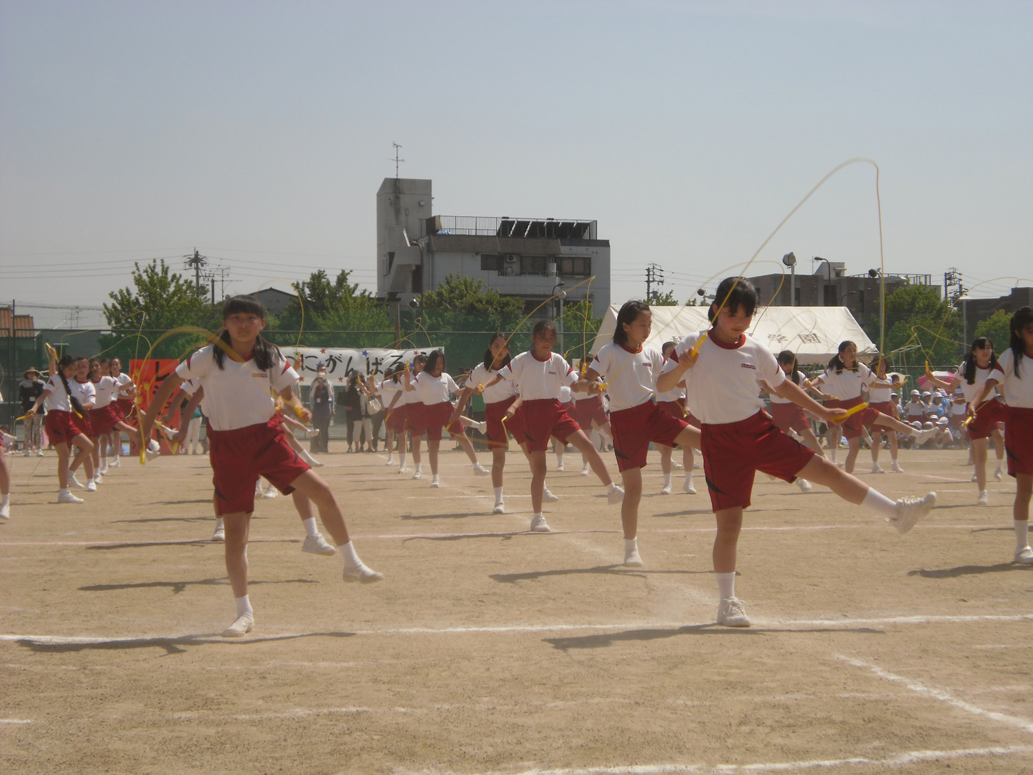 CIMG5045.JPG