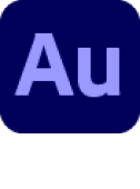 Audition